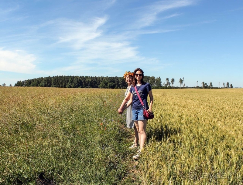 Природа Латвии. Кому привычно, а кому и экзотично 