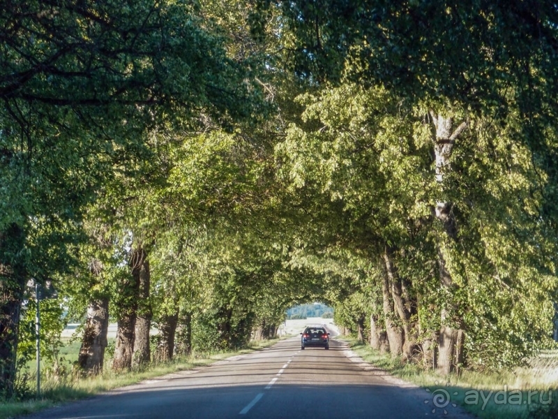 Природа Латвии. Кому привычно, а кому и экзотично 