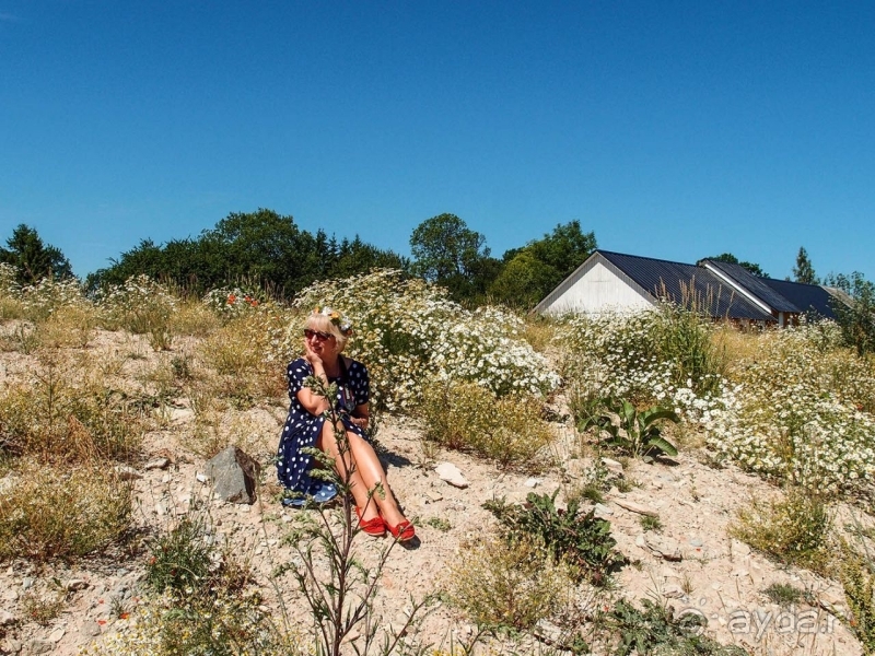 Природа Латвии. Кому привычно, а кому и экзотично 