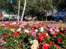 Город не на час