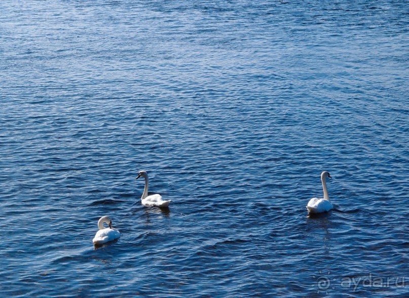 Город не на час