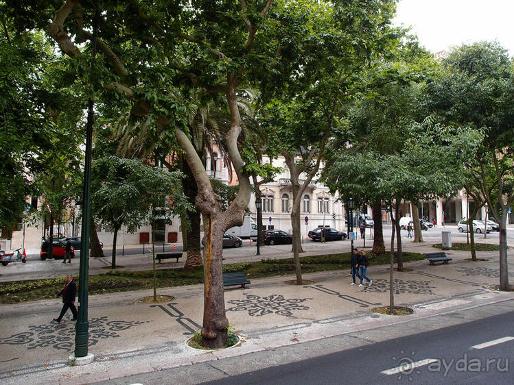 Кальсада — признак элегантности