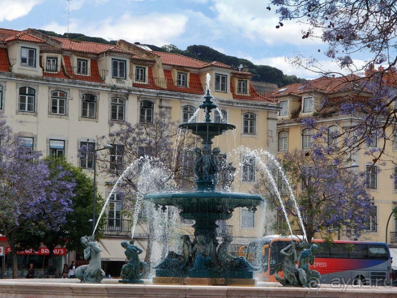 Кальсада — признак элегантности