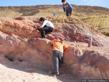 Цветные пески Эйн-Яав