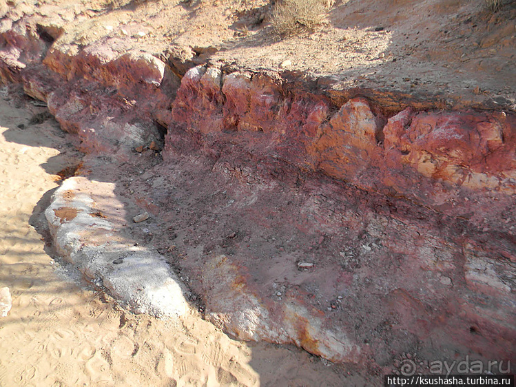 Цветные пески Эйн-Яав