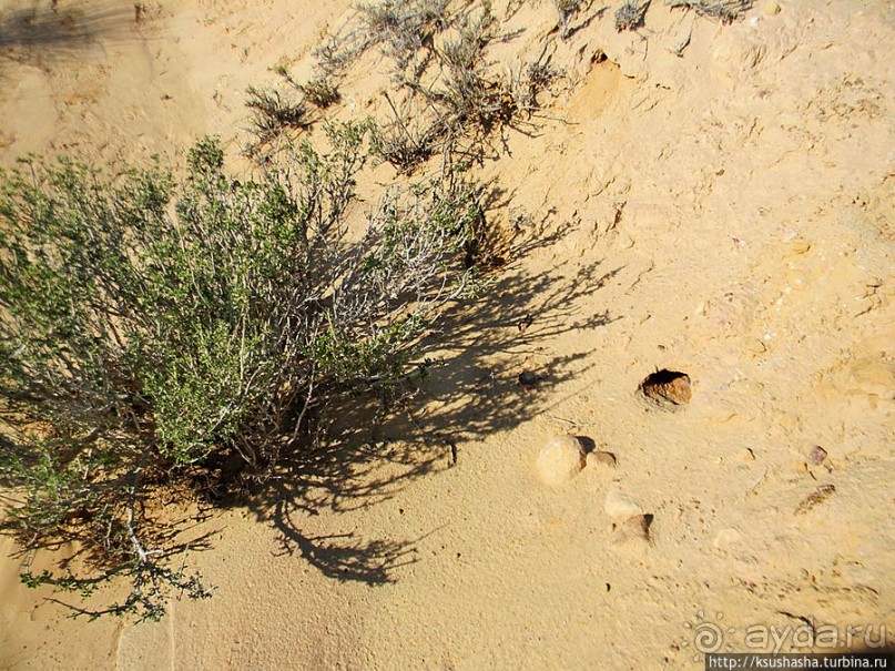Цветные пески Эйн-Яав
