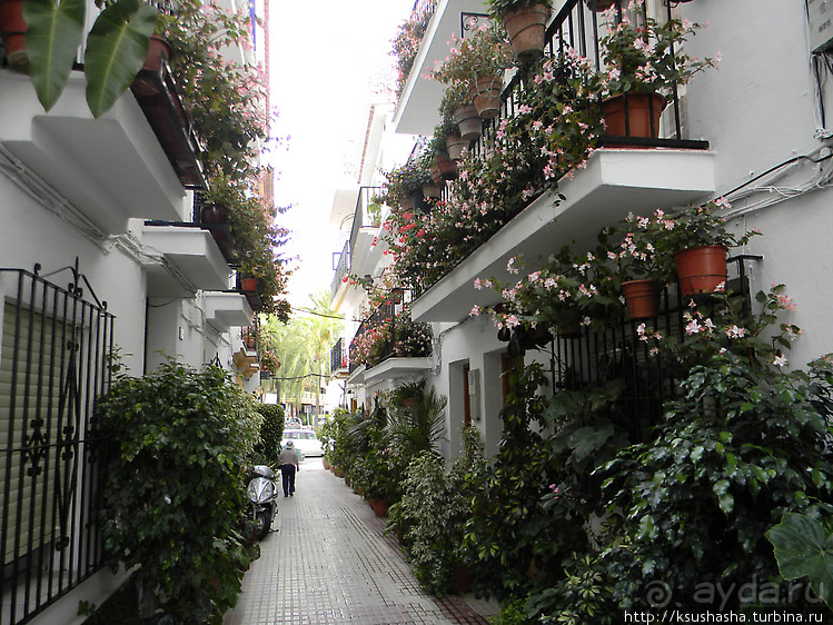 Такая разная Марбея