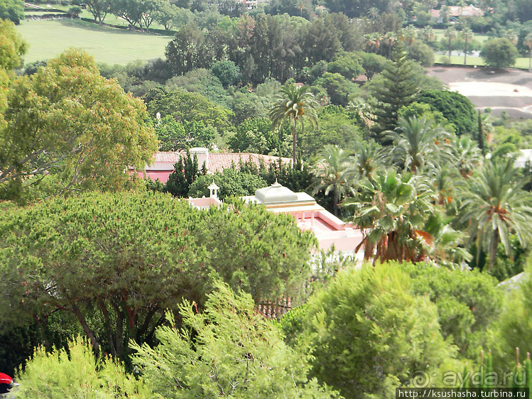 Такая разная Марбея