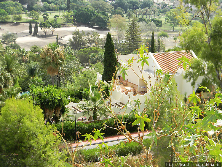 Такая разная Марбея