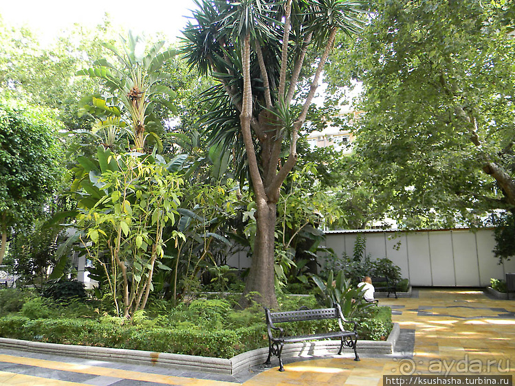 Такая разная Марбея