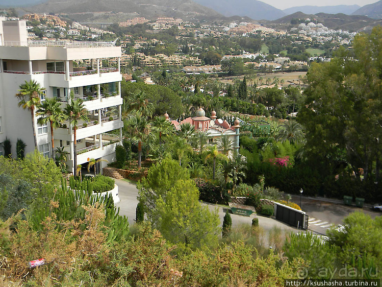 Такая разная Марбея