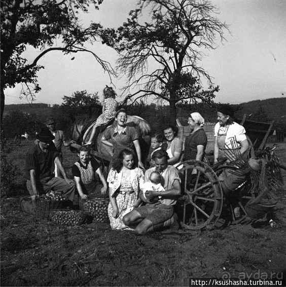 Принцессы Сайн и их "прекрасные принцы"