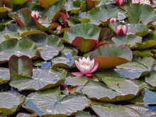 В Турайде озёр голубые прозоры...