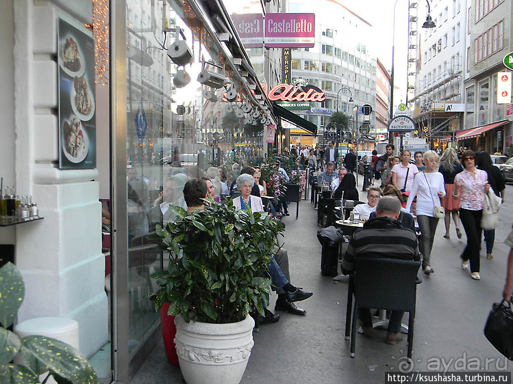 Альбом отзыва "Кафе "Кастеллетто""