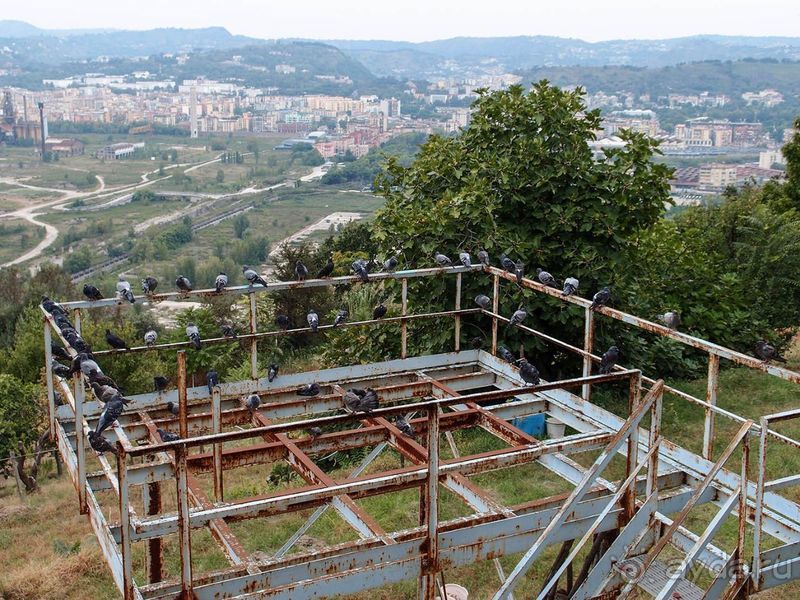 Корничелло неаполитено