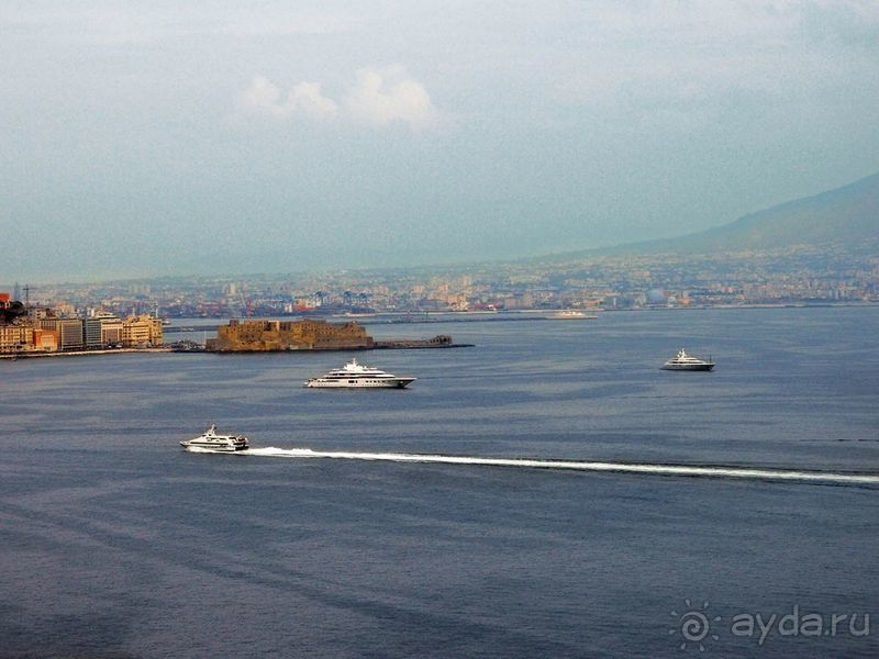 Корничелло неаполитено Корничелло неаполитено