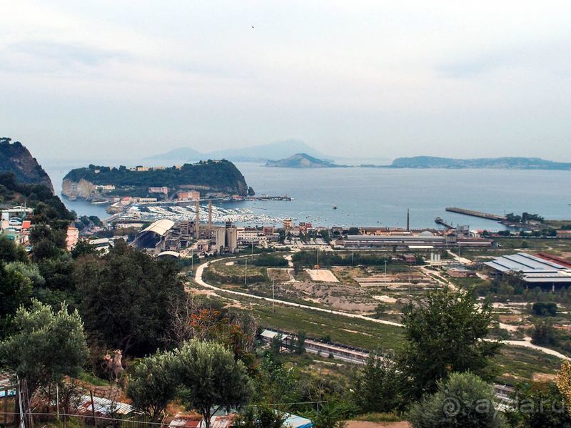 Корничелло неаполитено Корничелло неаполитено