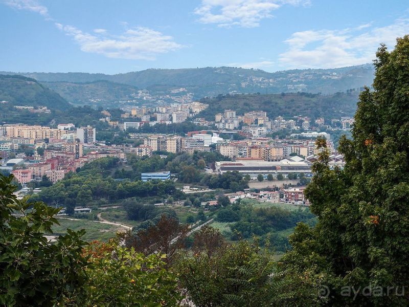 Корничелло неаполитено Корничелло неаполитено