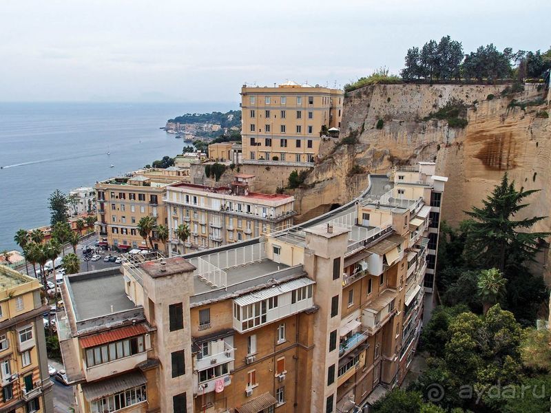 Корничелло неаполитено Корничелло неаполитено