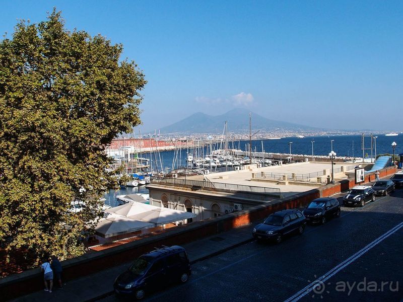 Корничелло неаполитено Корничелло неаполитено