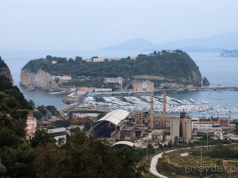 Корничелло неаполитено Корничелло неаполитено