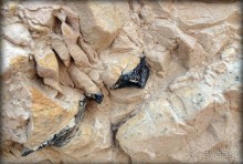 Волшебство пустыни. Эйн-Авдат