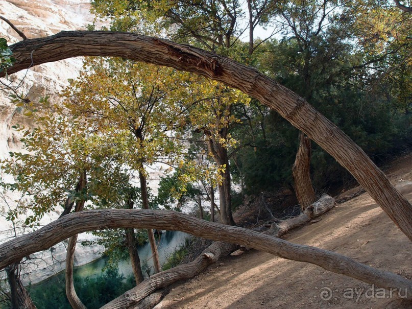 Волшебство пустыни. Эйн-Авдат