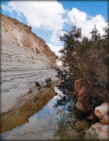 Волшебство пустыни. Эйн-Авдат