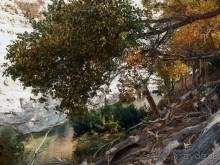 Волшебство пустыни. Эйн-Авдат