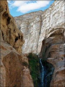 Волшебство пустыни. Эйн-Авдат