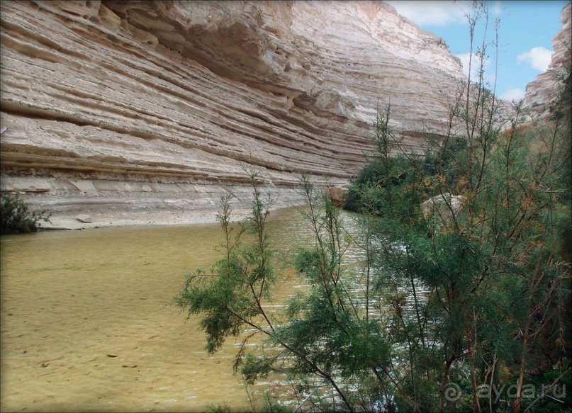 Волшебство пустыни. Эйн-Авдат