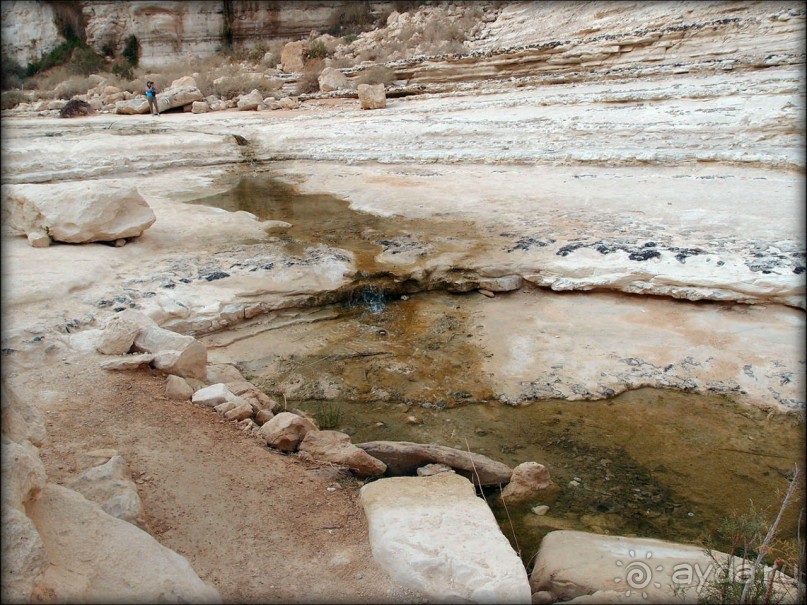 Волшебство пустыни. Эйн-Авдат