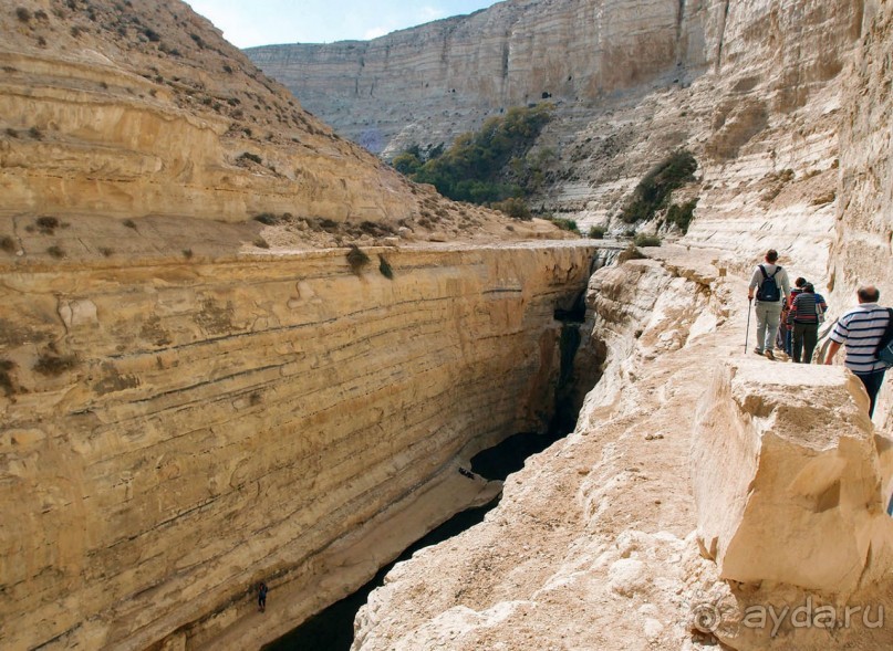 Волшебство пустыни. Эйн-Авдат