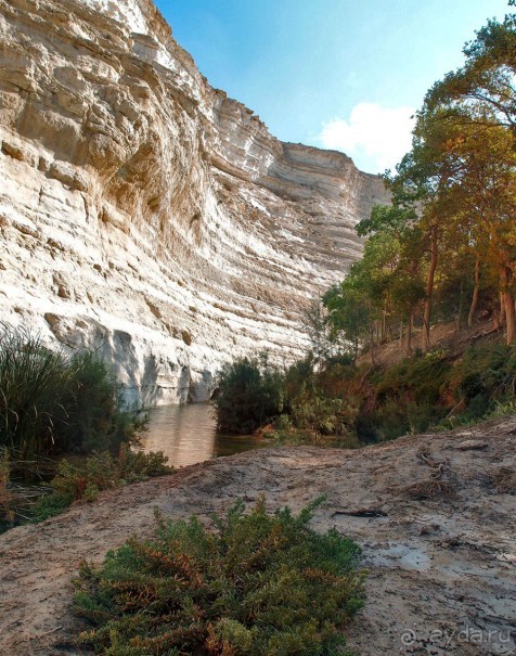 Волшебство пустыни. Эйн-Авдат