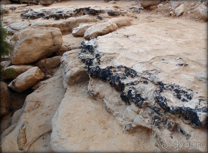 Волшебство пустыни. Эйн-Авдат