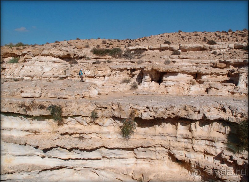 Волшебство пустыни. Эйн-Авдат