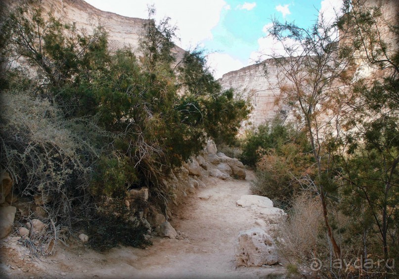Волшебство пустыни. Эйн-Авдат