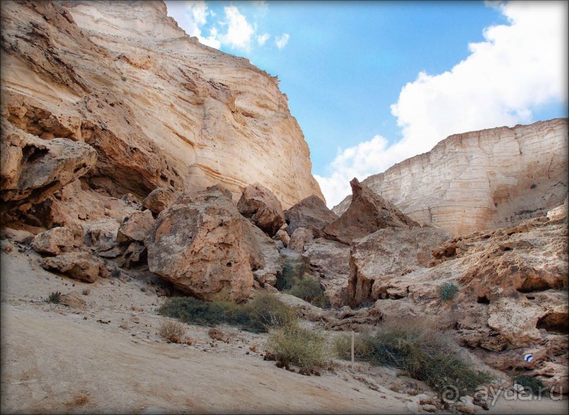 Волшебство пустыни. Эйн-Авдат