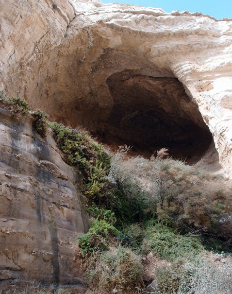Волшебство пустыни. Эйн-Авдат
