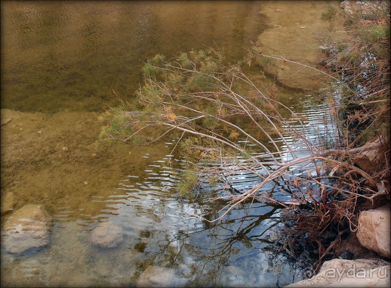 Волшебство пустыни. Эйн-Авдат