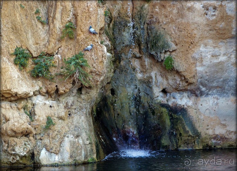 Волшебство пустыни. Эйн-Авдат