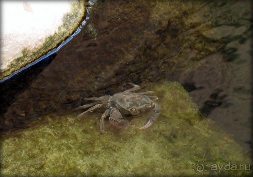 Волшебство пустыни. Эйн-Авдат