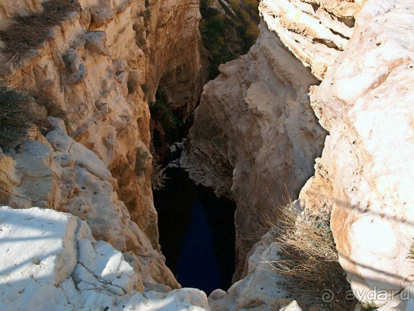 Волшебство пустыни. Эйн-Авдат