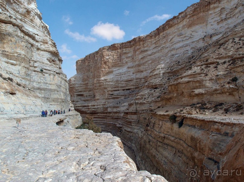 Волшебство пустыни. Эйн-Авдат