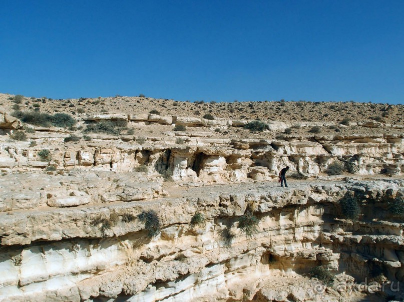 Волшебство пустыни. Эйн-Авдат