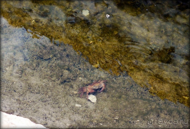 Волшебство пустыни. Эйн-Авдат