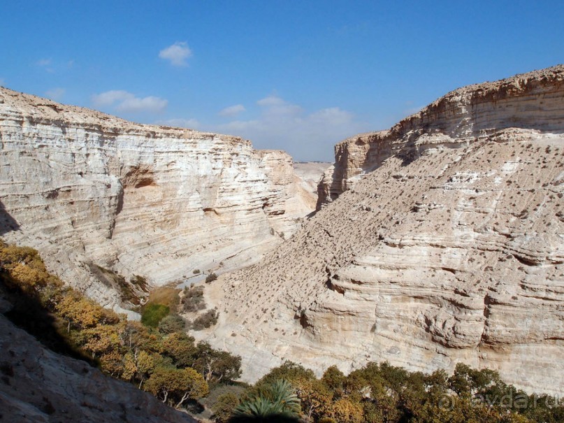 Волшебство пустыни. Эйн-Авдат