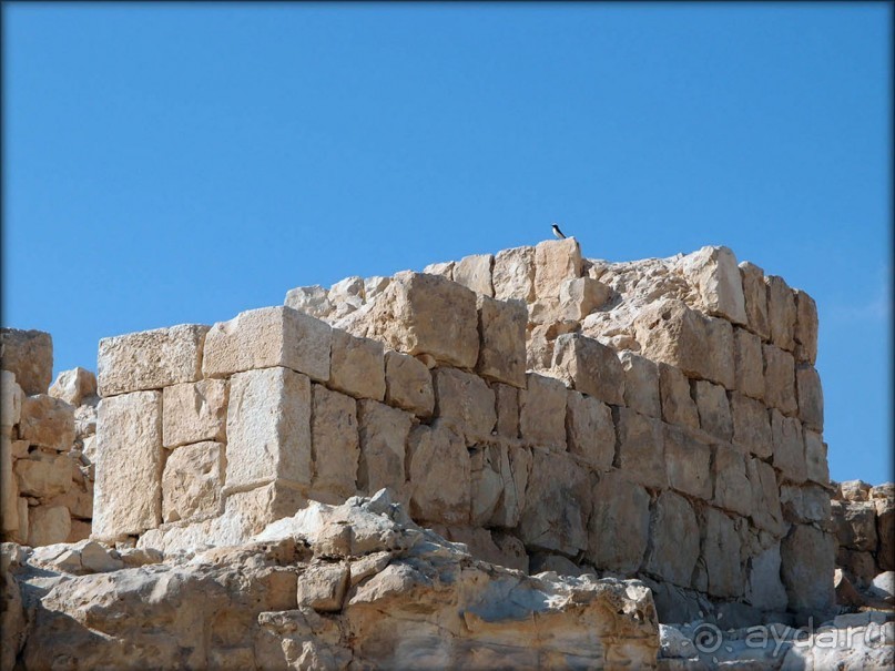 Волшебство пустыни. Эйн-Авдат