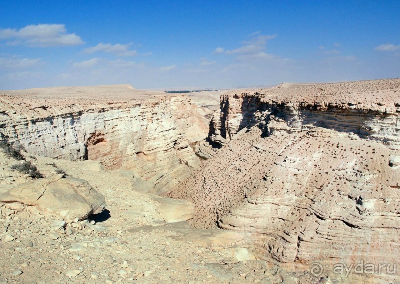 Волшебство пустыни. Эйн-Авдат
