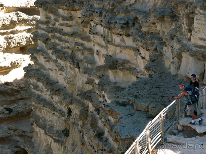 Волшебство пустыни. Эйн-Авдат